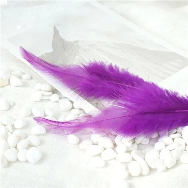 Decorative cock feathers 10-15 cm 50 pcs