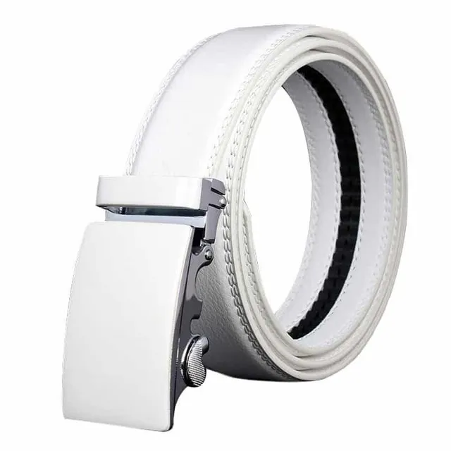 Elegant Men's Belt