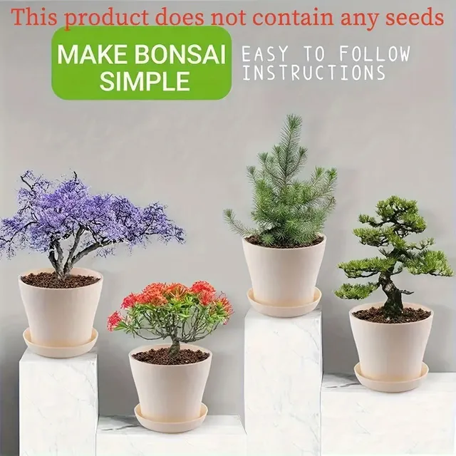 Zestaw Bonsai dla początkujących: wewnątrz i na zewnątrz 