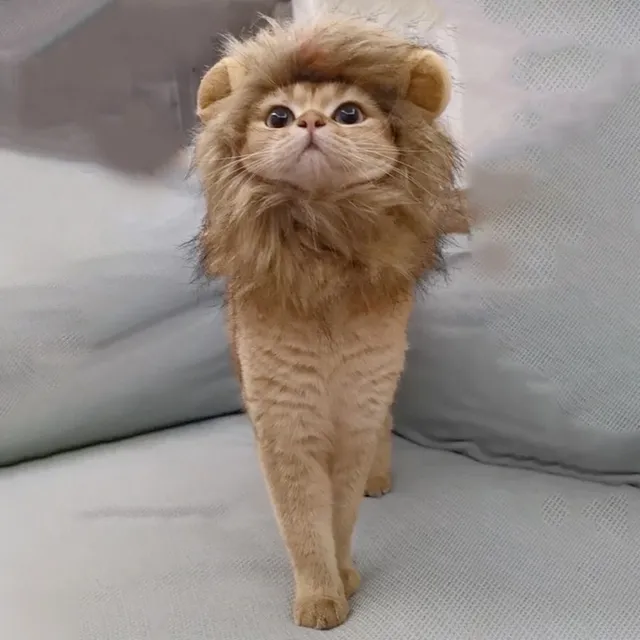 Aranyos oroszlán sörény jelmez macskáknak - több méret választás