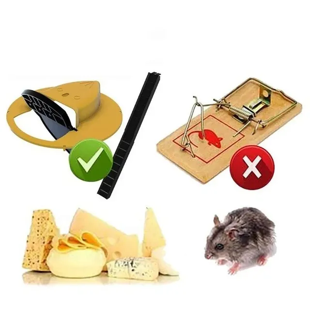 Kbelíková past na krysy a myši
