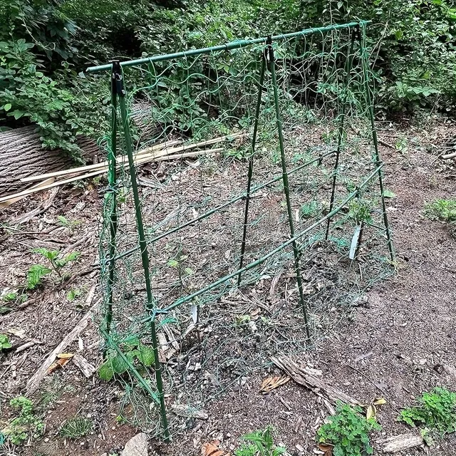 Plastic grating for climbing plants for raised beds - Detachable construction with mesh and clips
