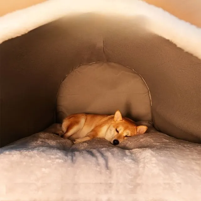 Warm removable and washable dog bed