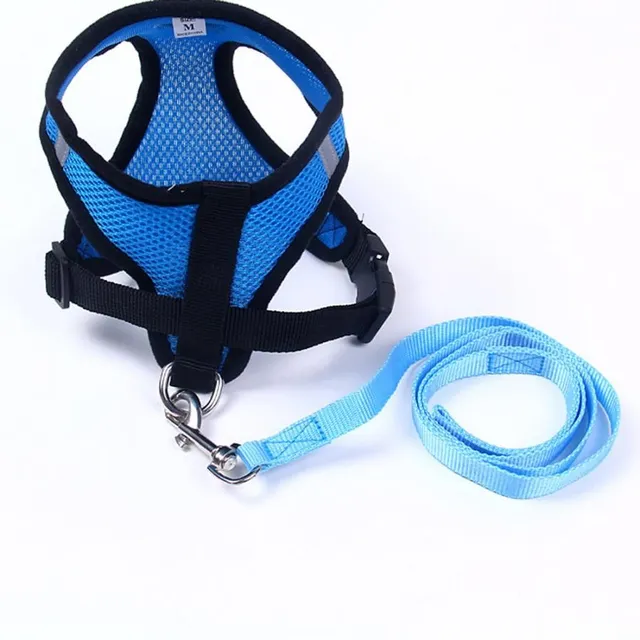 Cute breathable harness for dogs