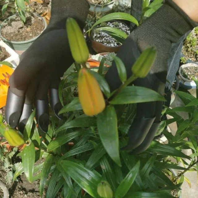 Rękawice ogrodowe z plastikowymi pazurami