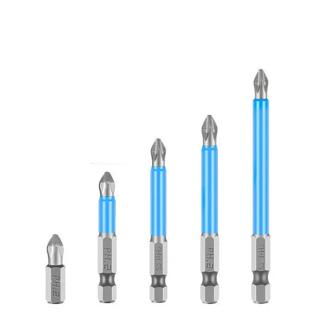 Magnetic kit of bits for screwdriver