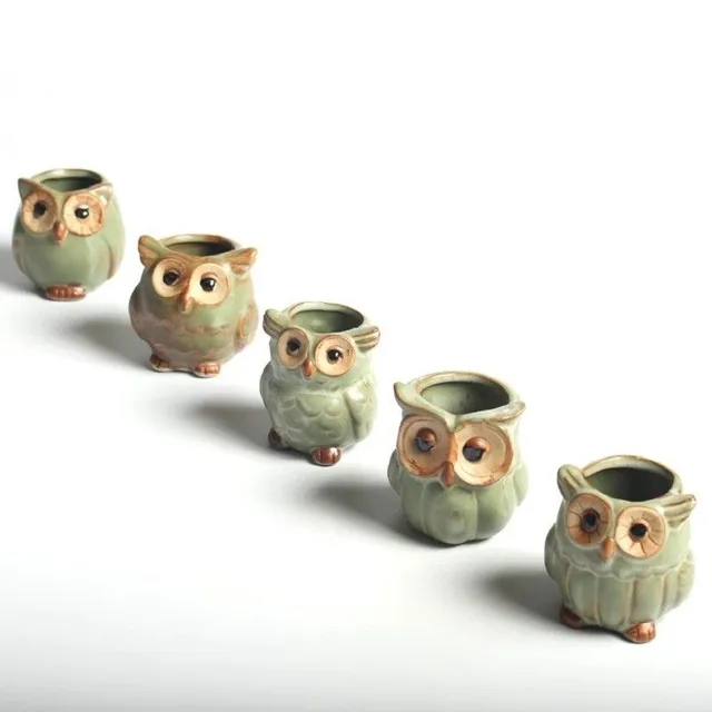 Ensemble de pots de fleurs en forme de hibou 5 pcs