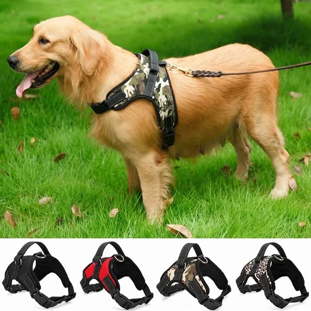 Nylon harness for dog