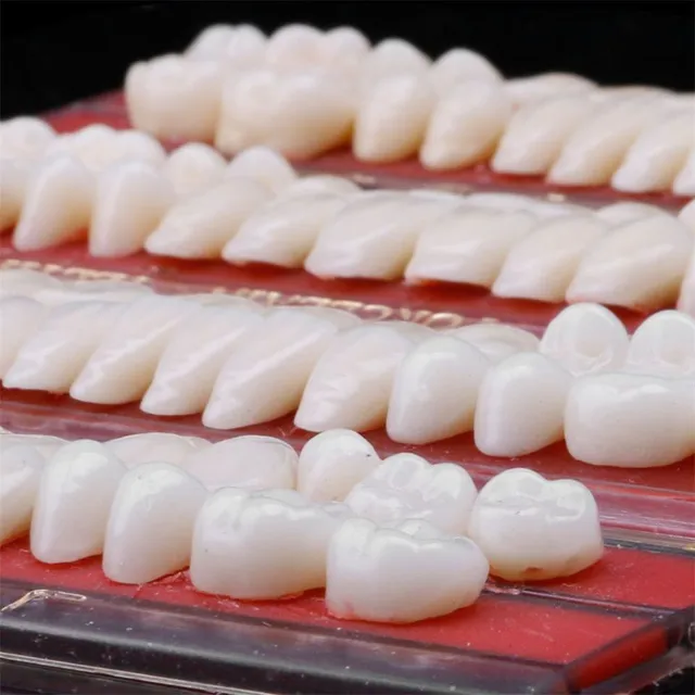 Vysokokvalitná výučbová sada umelých zubov