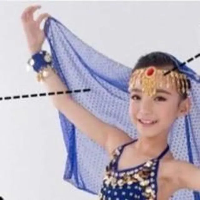 Belly dancer costume