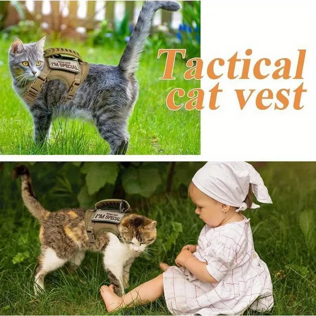 Tactical adjustable kit for cats with leash - Training equipment for service dogs in military quality