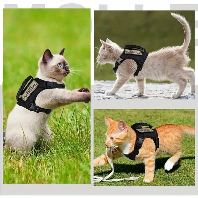 Tactical adjustable kit for cats with leash - Training equipment for service dogs in military quality