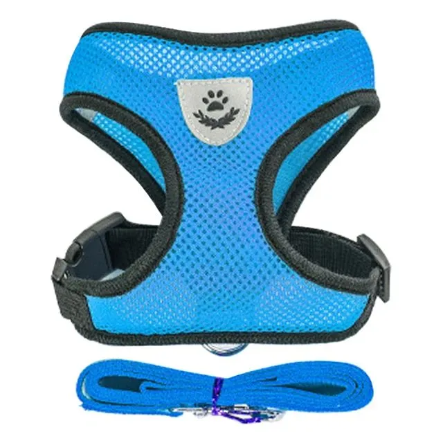 Adjustable harness for smaller dogs and cats
