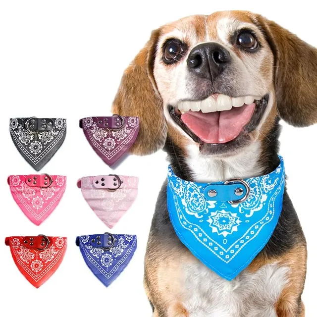 Stylish collar with scarf for dogs