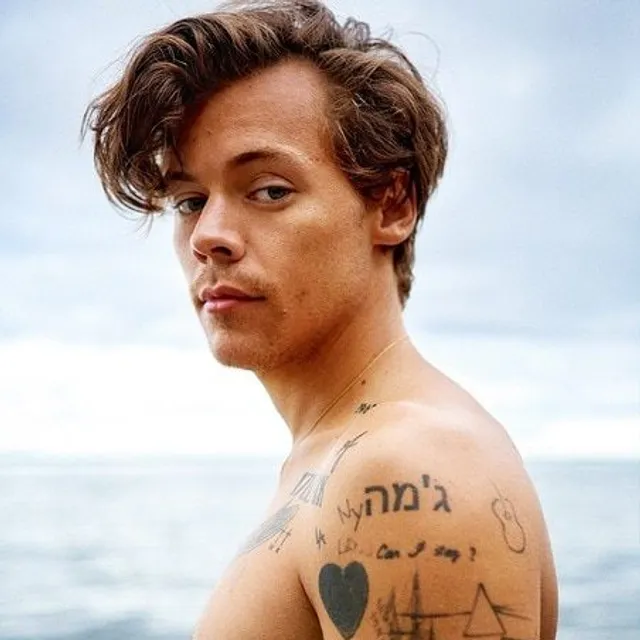 Poster cu popularul cântăreț britanic Harry Styles