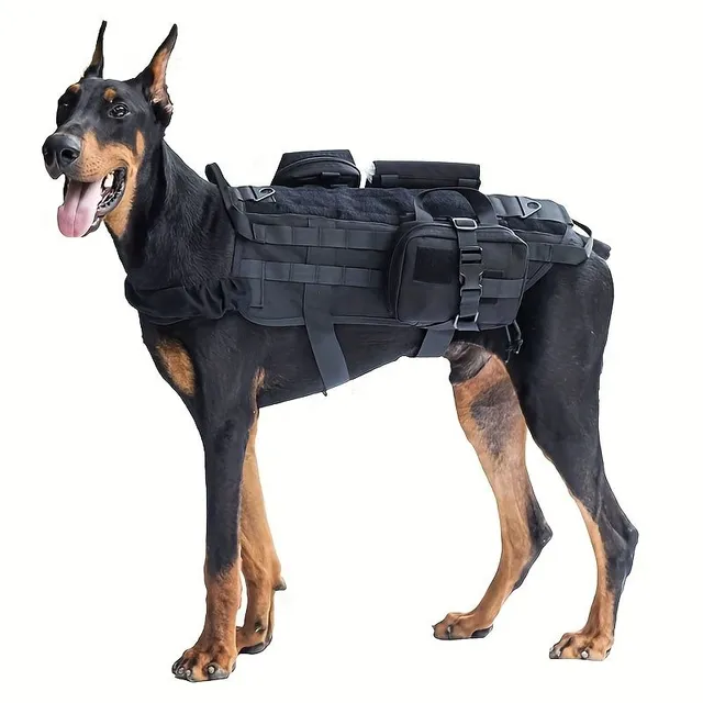 Tactical training harness for dog - robust, adjustable, without pulling