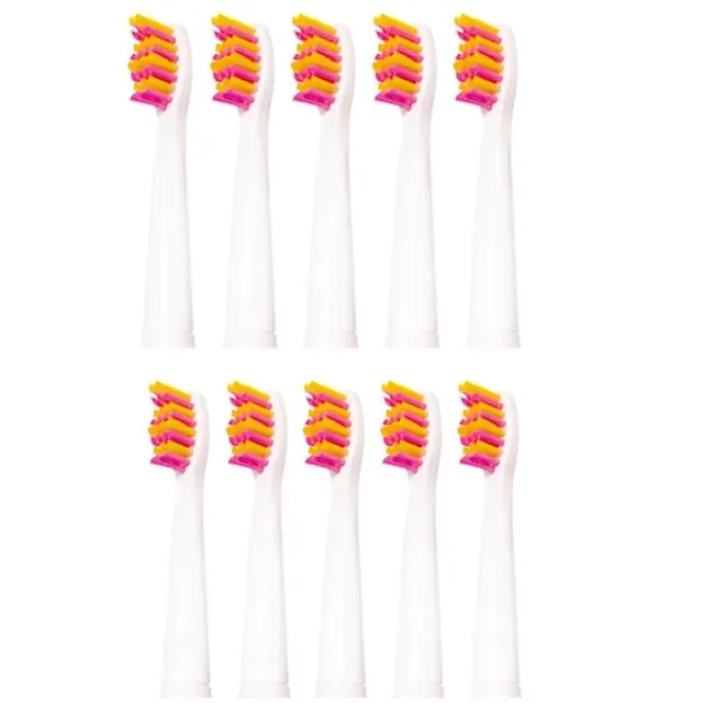 Replacement head for toothbrush Seago 10 pcs