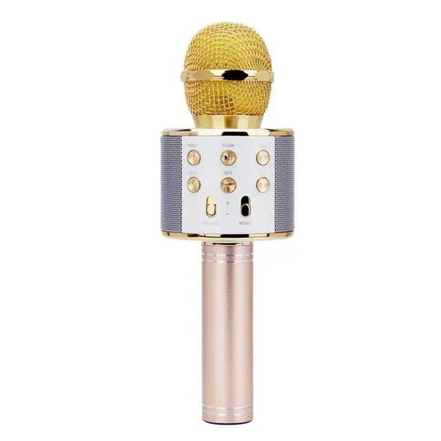 Microfon de karaoke wireless cu Bluetooth