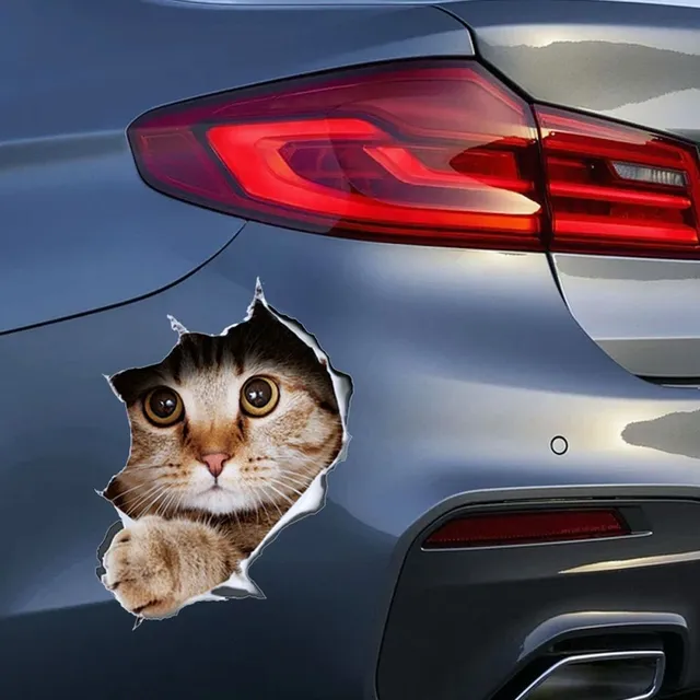 3D Samolepka na auto v podobe mačky