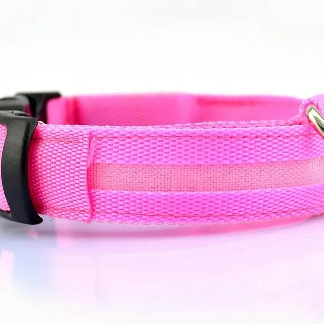 Illuminated LED dog collar ruzova l