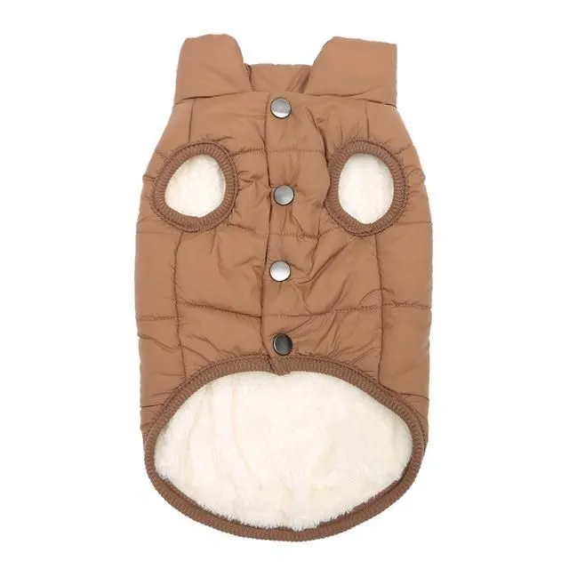 Insulated vest for dogs