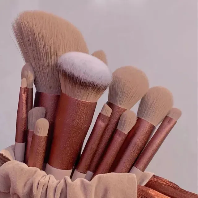 Set of 13 cosmetic brushes for professional makeup - different colors