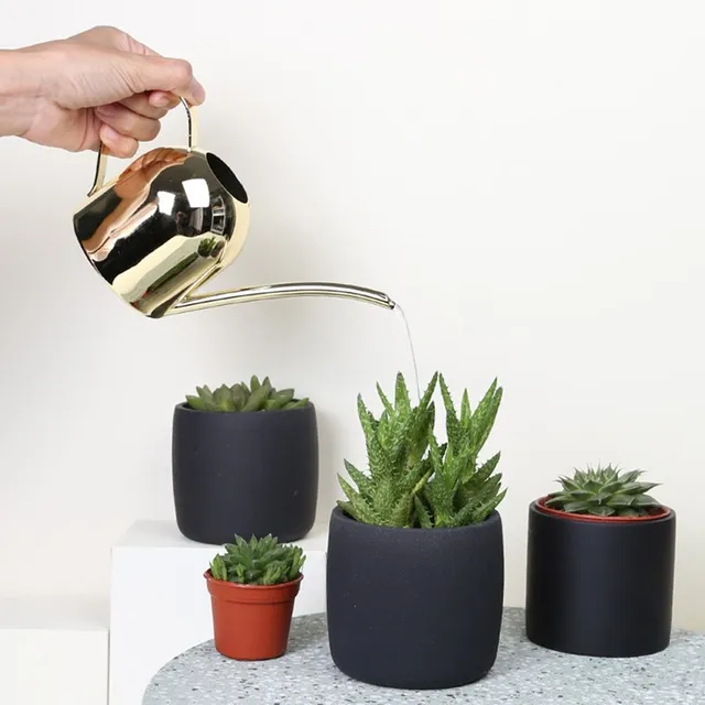 Metal watering can for watering flowers