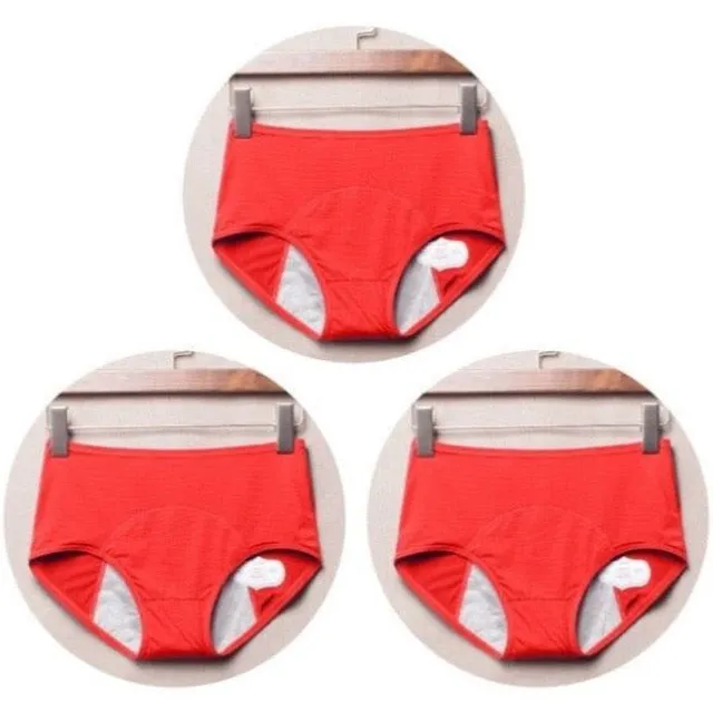 Set of high waisted menstrual panties 3 pcs - more colours