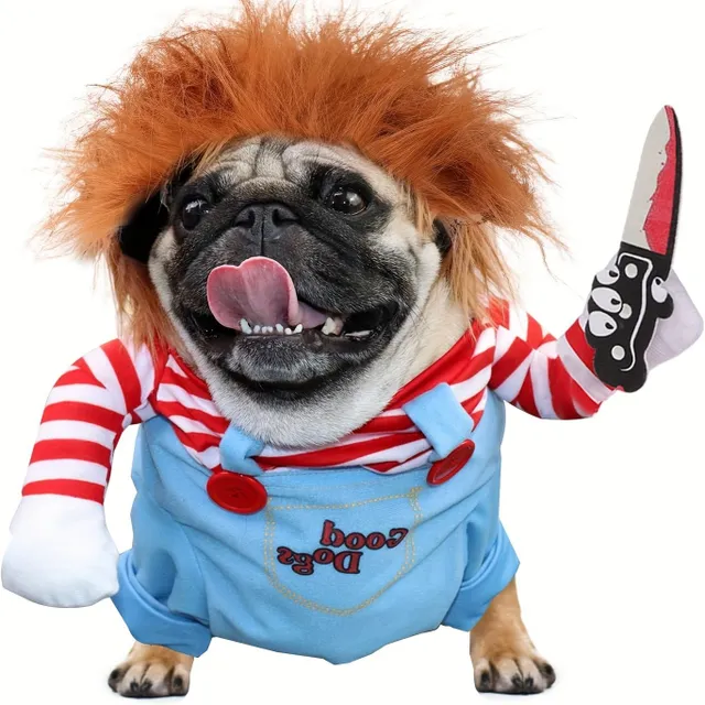 Halloween: Costume of scary dolls for dogs - Cute and scary at the same time