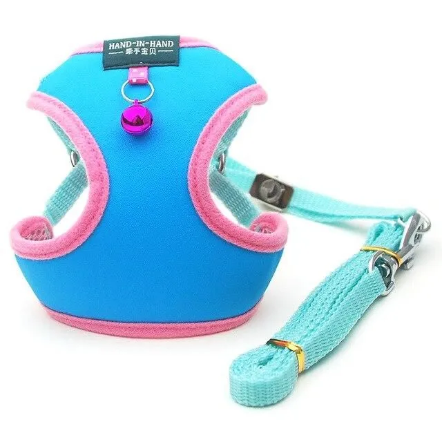 Harness for cats