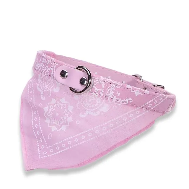 Stylish collar with scarf for dogs