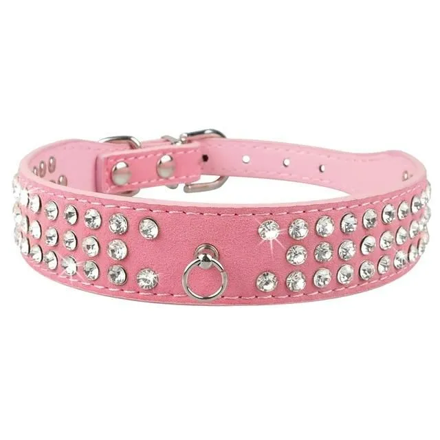 Leather collar for dogs and cats