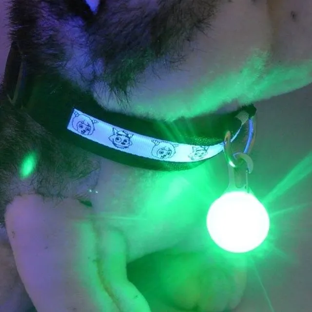 Illuminated round LED pendant for collar