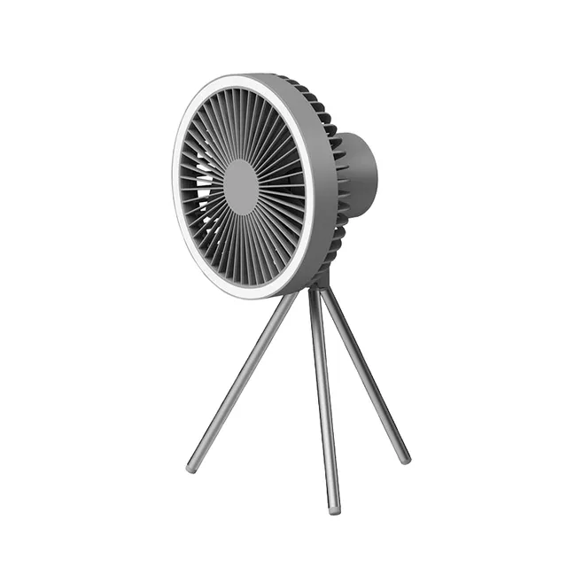 Portable fan with light