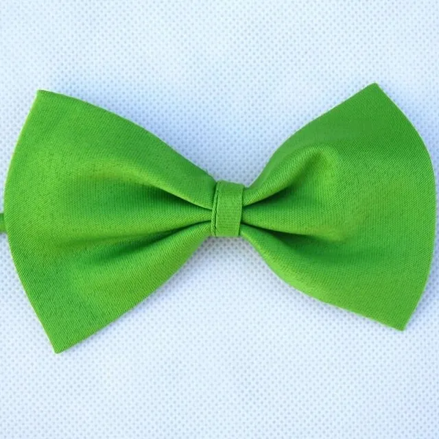 Elegant adjustable bow tie for dogs