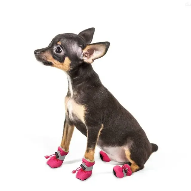 Wodoodporne buty dla małego psa chroniące łapy