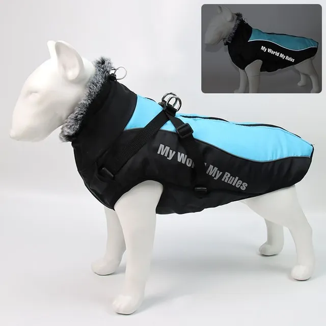 Jacket for dog