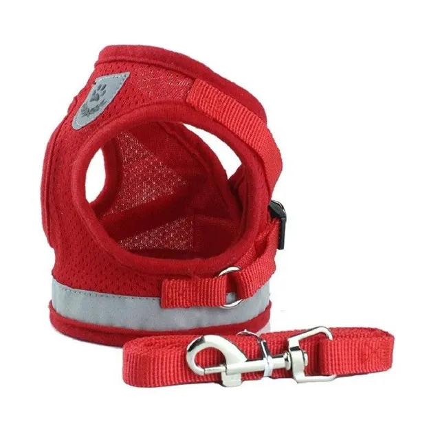 Reflective safety harness for dogs with leash Vesta for small dogs and puppies Chest breathing harness for dogs 3 - 4,5 kg