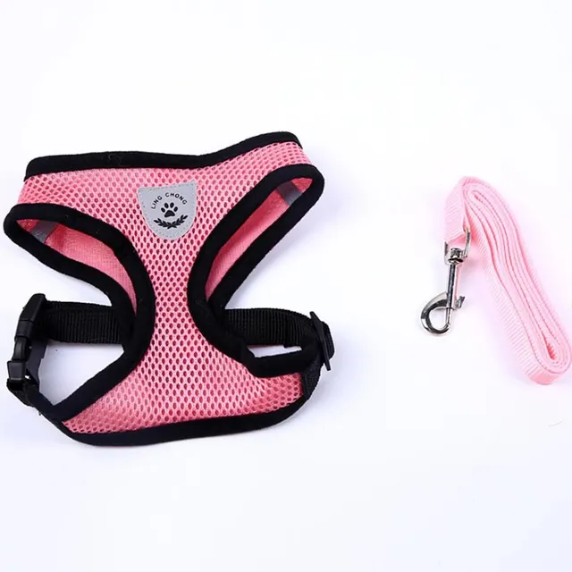 Cute breathable harness for dogs
