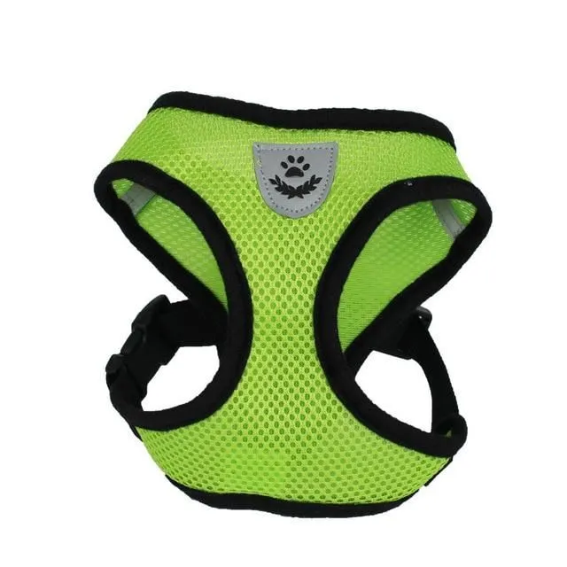 Adjustable cat harness green s