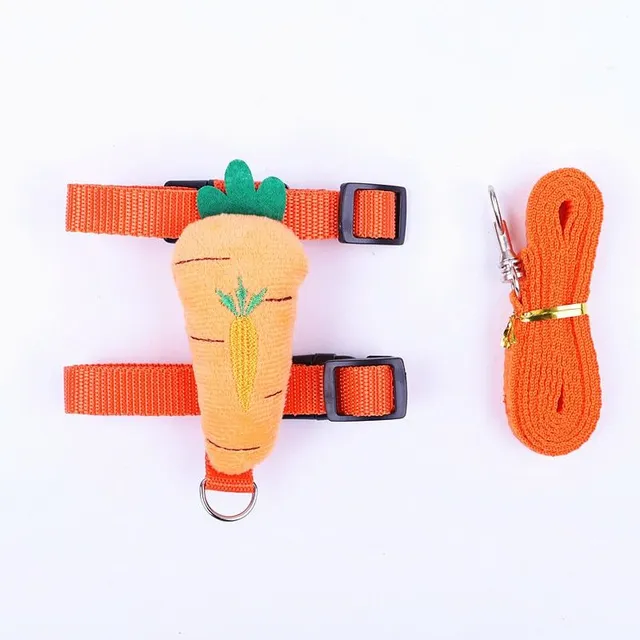 Modern crossbows with leash for rabbits with design detail of fruits and vegetables - more colors