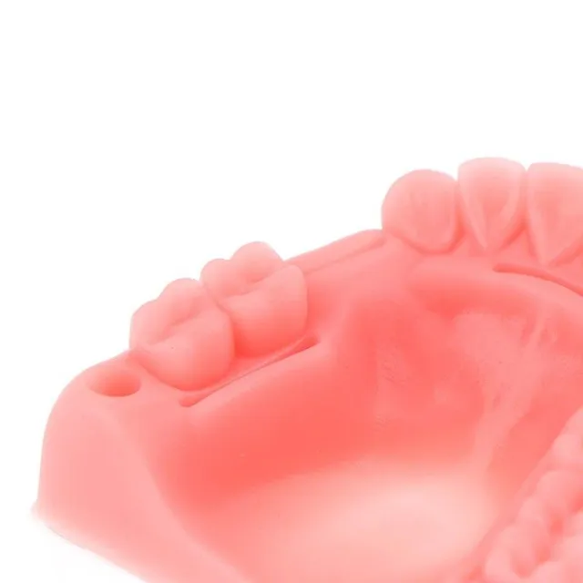 Denture model for stitching training 4 pcs