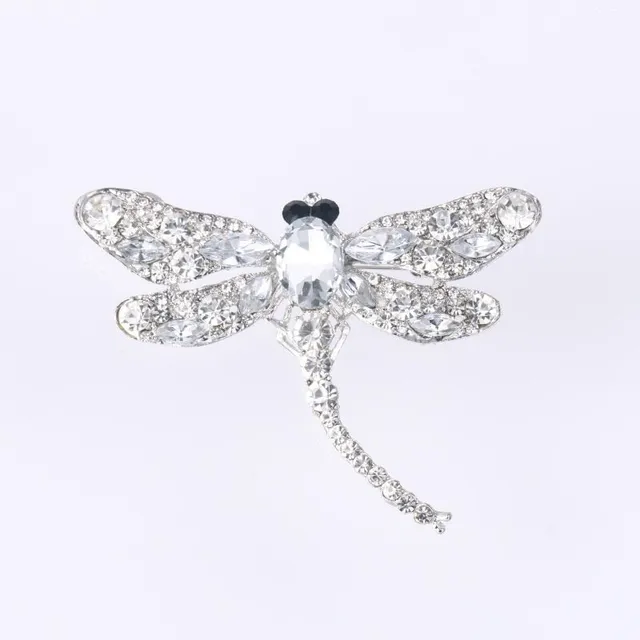 Beautiful ladies brooch decorated with dragonfly