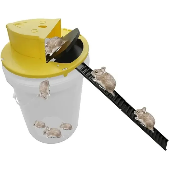 Bucket trap for rats and mice