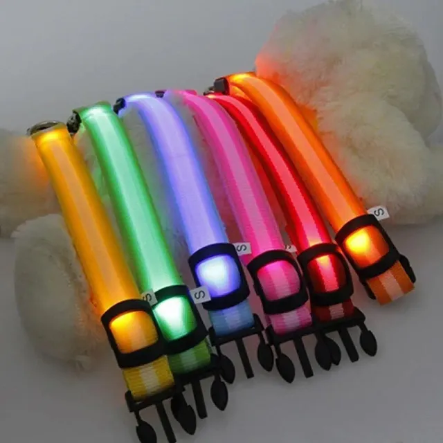 Lighting LED collar for small and medium dogs - for safe night walks