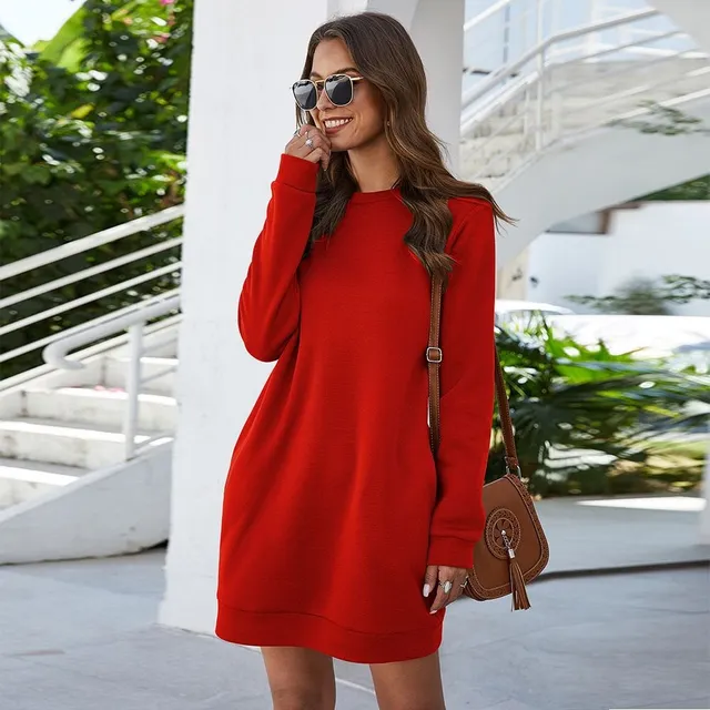 Beautiful ladies autumn dress with long sleeves