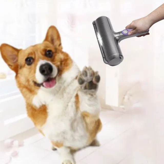 Practical pet hair remover