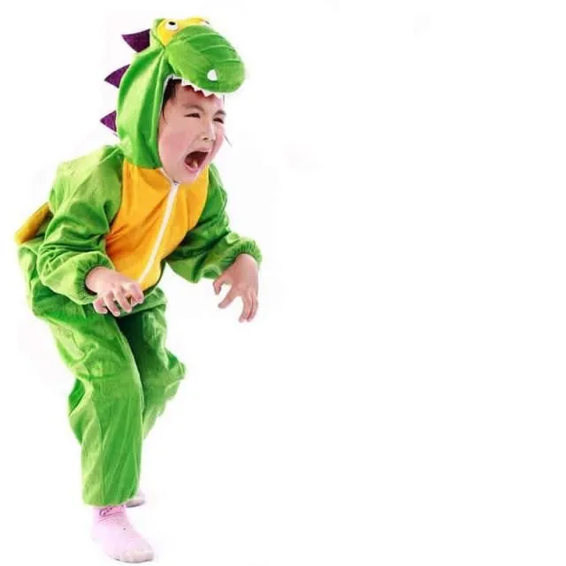 Children's dinosaur costume