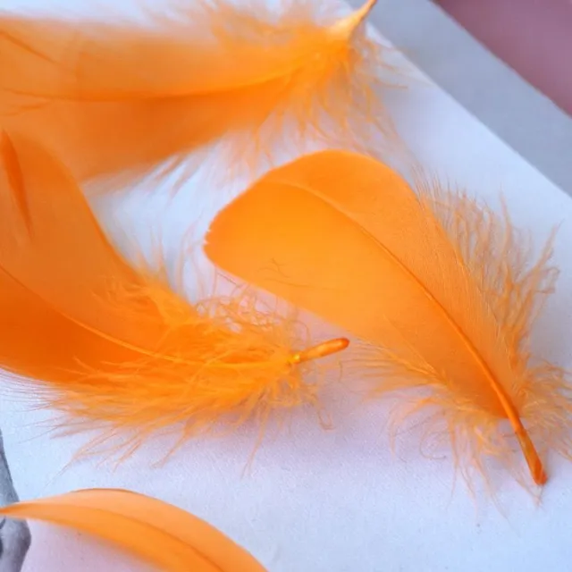 Natural coloured decorative feathers - 100 pcs