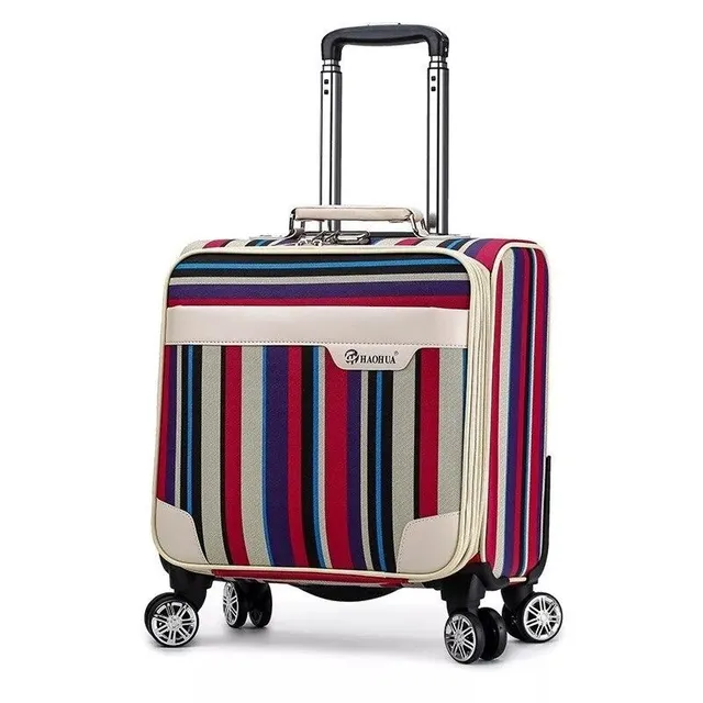 Travel suitcase on wheels Blair 1